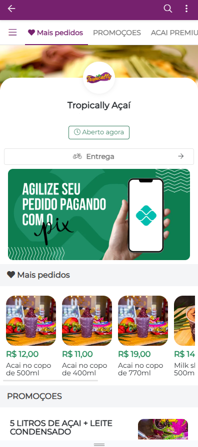 Interface do Sistema SpeedFood